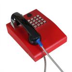 Rugged Keypad IP65 PCB Vandal Proof SIP Telephone