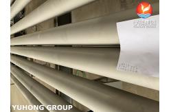 China Stainless Steel Seamless Pipe ASTM A312 UNS S31254 Heat Exchanger Food Processing supplier