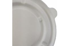 China Natural Sugarcane Pulp Biodegradable Bagasse Bowl Dim Sum Dumpling Takeaway supplier