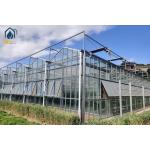 Large Agricultural Multi Span Glass Greenhouse Square Commercial Hydroponic Greenhouse for sale