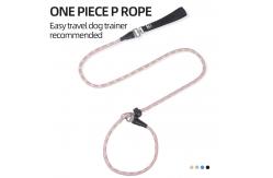 China Pet Explosion-Proof P Chain Leash Dog Reflective Breathable Integrated Dog Leash supplier