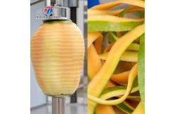 China Gourds Medium Sized Melon Fruit And Vegetable Peeler Machine Double Headed supplier