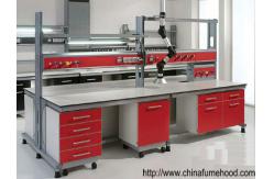 China Red Science Lab Workstations With Reagent Shelf And Steel Cabinet supplier