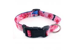 China Dog Collar Multipattern Colorful Fashionable Folk Style Adjustable supplier