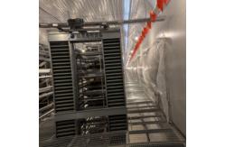 China 4-Tier Fully Automated Layer Housing System with Galvanized Frame & Auto Collection supplier