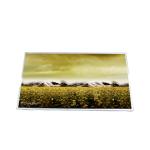 B156XW02 V1 HW0A LCD Laptop Screen WXGA Resolution 1366x768 TFT LCD Display for sale
