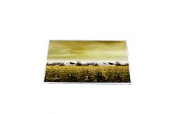 China B156XW02 V1 HW0A LCD Laptop Screen WXGA Resolution 1366x768 TFT LCD Display supplier