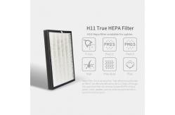 China HOMEFISH Desktop Germicidal UV Lamp Negative Ionizer Air Purifier 250CFM supplier