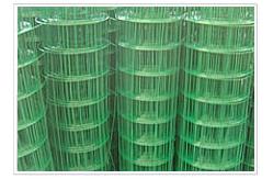 China 3.5mm Coated Welded Wire Mesh，7ft Galvanized Stainless Steel Mesh Roll supplier