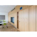Premium Performance Design Solid Partitions Wall Indoor Privacy Soundproof Wall for sale