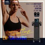 Aesthetic Machine For Fat Loss Muscle Building EMS Machine for sale