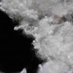Solid Medium Crimp Polyester Short Cut Fiber 64mm PSF For Mattress