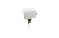 China 250V Flow Switch For Chiller supplier