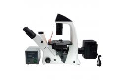 China Binocular Wide Field Fluorescence Microscopy A16.2614 40X - 1600X Magnification supplier