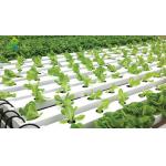 Nutrient Film Technique Soilless Hydroponic System Hydroponic Farming Kit For Balcony for sale