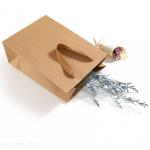 Customized Kraft Paper Handbag / Shopping Bag Recycled Compostable