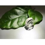 Spiral Custom Polishing Sapphire Optical Windows High Temperature Resistant for sale