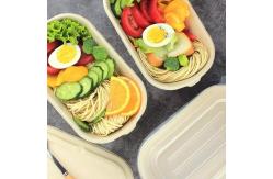 China Home Compostable Sugarcane Container Microwavable Meal Take Out Food Containers supplier