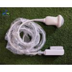 Samsung EVN4-8 Ultrasound Probe Repair Transducer Lens Replacement
