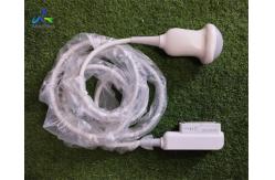 China Samsung EVN4-8 Ultrasound Probe Repair Transducer Lens Replacement supplier