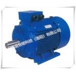 Energy - Saving Rare - Earth Material Electric Motor For Vehicle for sale