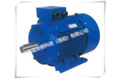 China Energy - Saving Rare - Earth Material Electric Motor For Vehicle supplier