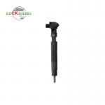 Common Rail Injector EMBR00002D A6510704987 for Meredes-Benz Engine