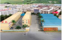 China Areca Palm manufacturer