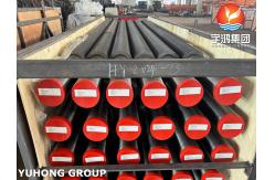 China High Frequency Welded Helical Serrated Welding Pipe Fin Tubes HFW supplier
