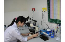China Fumed Silica Powder manufacturer
