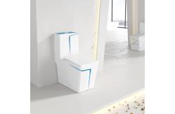 China Square WC Siphonic Flush Sanitary Ware Toilet Self Cleaning Spray supplier
