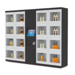Smart indoor outdoor lighting remote management Automatic 15 Lcd Touchscreen Industrial Vending Lockers for sale