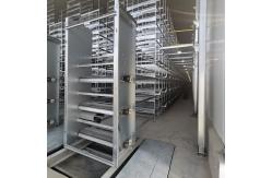 China 1.25m Hens Poultry Manure Removal System 3-8tiers Automated supplier