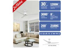 China White 3 ABS Blades Ceiling Fan With Smart Remote Control supplier