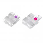 Dental Area Ortho Clear Bracket Brace with MFDS Standard and Durable Sapphire Materials for sale