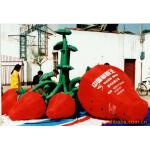 Christmas Decorations  Inflatable Lighting With Inflatable Strawberries for sale