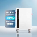 China 48V LiFePO4 Lithium Battery Pack 314Ah Capacity Hybrid Grid Home Energy Storage System Smart BMS IP65 CAN Communication 10kWh for sale