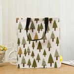 38x42x15cm Canvas Shopping Totes Foldable Stylish Reusable Grocery Bags Washable for sale