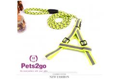 China Pet Training  Dog Shock Collar Puppies Tools Basic Concepts Learning Curve supplier