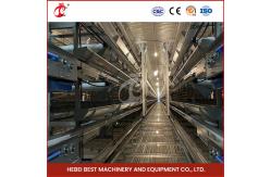 China Automatic Poultry Battery Cage System Layer Chicken Steel Cage Rose supplier