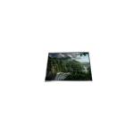 Original 6.0 inch 1080*2160 LPM060A549A TFT LCD Panel for sale