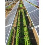 Cusomized 6000W Inverter CE IEC Grid Solar Voltaic System for sale