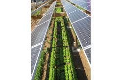 China Cusomized 6000W Inverter CE IEC Grid Solar Voltaic System supplier
