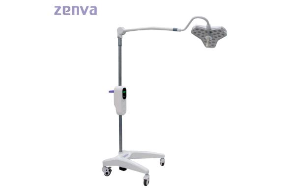 300mm Dia Mobile Surgical Portable LED Examination Lamp With Emergency Power
