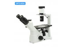 China LED Infinity Trinocular Inverted Optical Microscope OPTO-EDU A14.0901 supplier