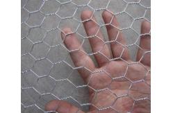 China Galvanized hexagonal wire netting Iron wire mesh supplier