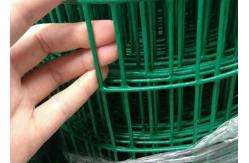 China Holland 3.0mm H1.0m Welded Wire Mesh Fence Garden Wire Mesh Fencing supplier
