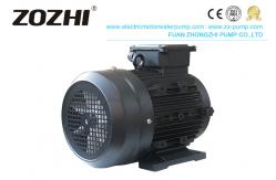 China Pressure Washer Hollow Shaft Motor Φ24mm Diameter -20C- 40C Ambient Temperature supplier