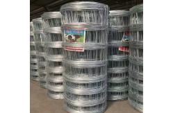 China 2.0mm Wire Galvanised Steel Wire Mesh Cattle Fence Roll Farm Fencing supplier