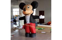 China Inflatable mickey mouse carton character supplier